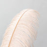 Quadro Feather #1 By 1x Studio III - Obrah | Quadros e Posters para Transformar a Parede