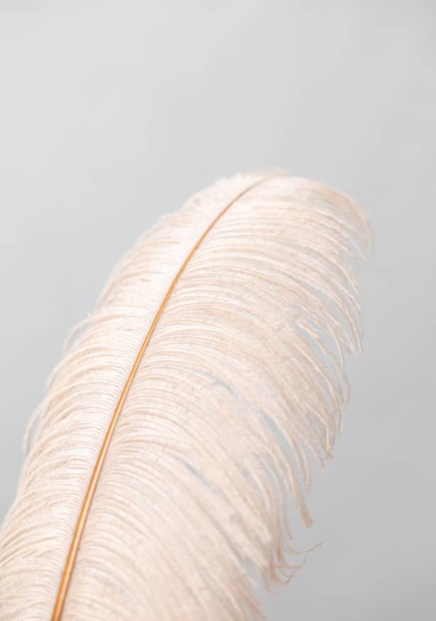 Quadro Feather #1 By 1x Studio III - Obrah | Quadros e Posters para Transformar a Parede