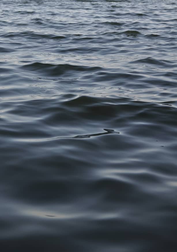 Quadro Feet in the Water