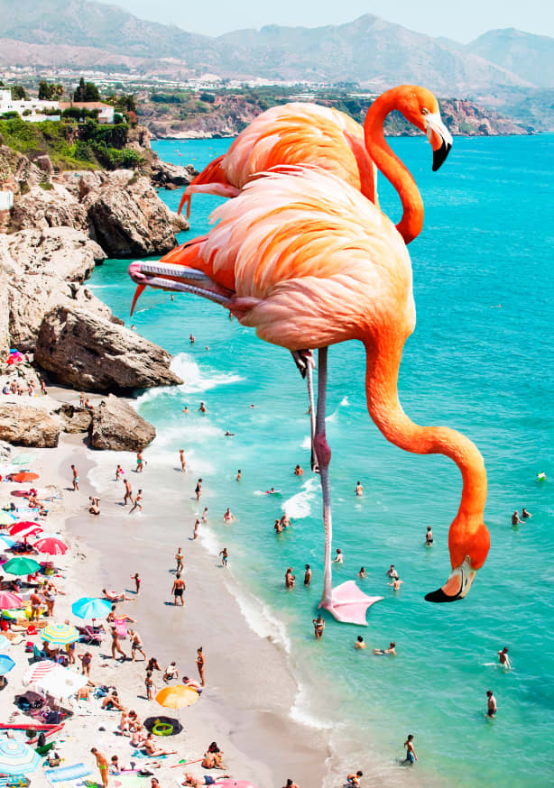 Quadro Flamingos on the Beach - Obrah | Quadros e Posters para Transformar a Parede