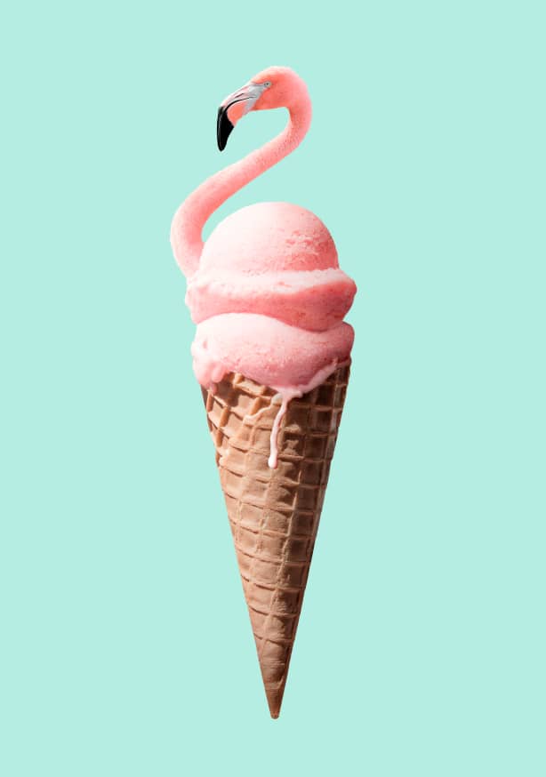 Quadro Flamingo Cone