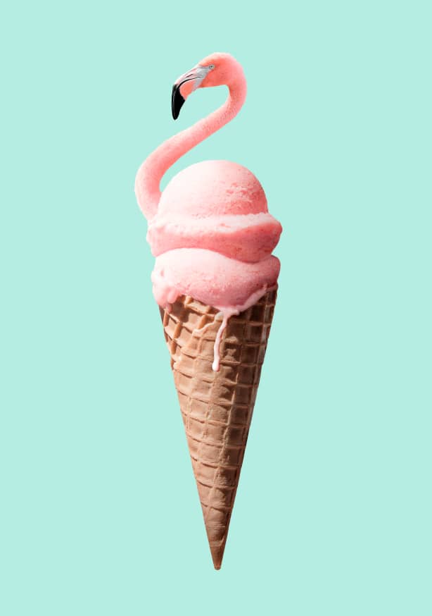 Quadro Flamingo Cone - Obrah | Quadros e Posters para Transformar a Parede