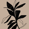 Quadro Floral Sketch 01 - Obrah | Quadros e Posters para Transformar a Parede