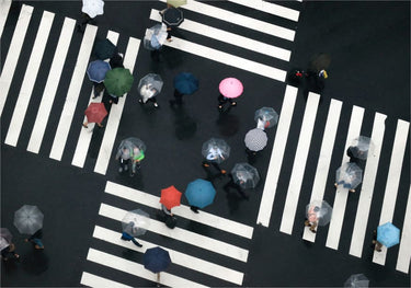 Quadro Flowers of the Crossroads By Haruyo Sakamoto - Obrah | Quadros e Posters para Transformar a Parede