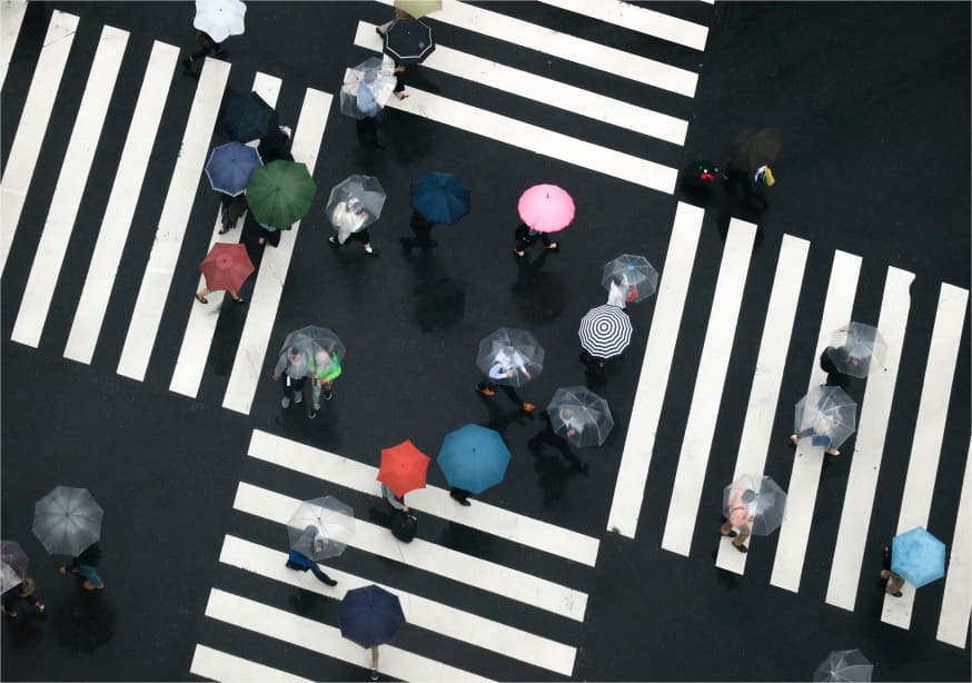 Quadro Flowers of the Crossroads By Haruyo Sakamoto - Obrah | Quadros e Posters para Transformar a Parede