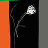 Quadro Flower of Freedom - Obrah | Quadros e Posters para Transformar a Parede