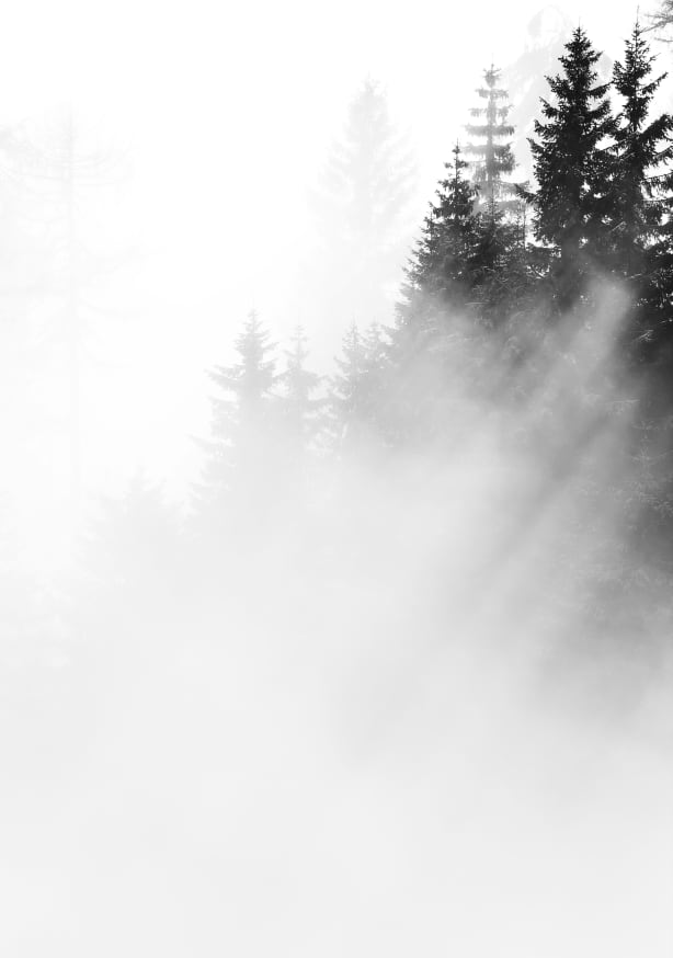 Quadro Fog
