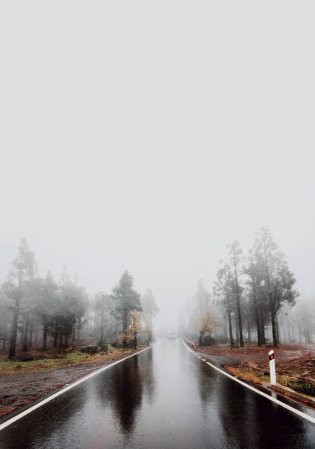 Quadro Foggy Road