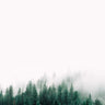 Quadro Forest - Obrah | Quadros e Posters para Transformar a Parede