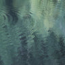 Quadro Forest in the Lake - Obrah | Quadros e Posters para Transformar a Parede