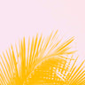 Quadro Freshness - Obrah | Quadros e Posters para Transformar a Parede