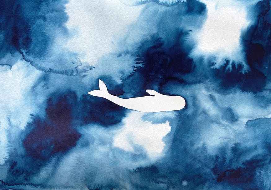 Quadro Baleia Branca Fundo Aquarela - Obrah | Quadros e Posters para Transformar a Parede