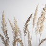 Quadro Glorious Golden Pampas Grass - Obrah | Quadros e Posters para Transformar a Parede