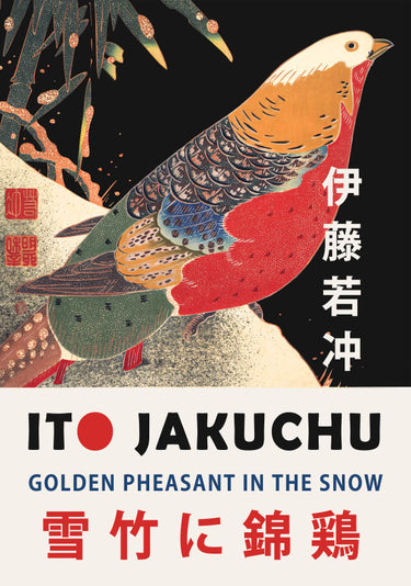 Quadro Golden Pheasant in the Snow - Obrah | Quadros e Posters para Transformar a Parede