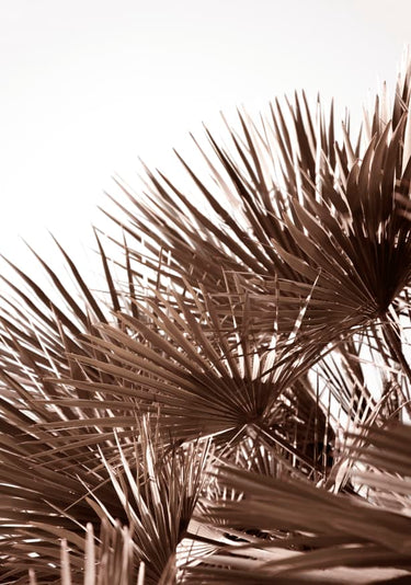 Quadro Gorgeous Golden Palm Leafes - Obrah | Quadros e Posters para Transformar a Parede