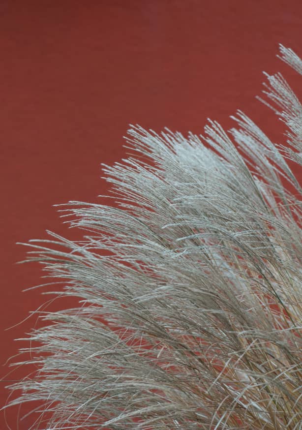 Quadro Grasses in the Wind Terracotta - Obrah | Quadros e Posters para Transformar a Parede