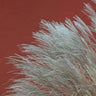 Quadro Grasses in the Wind Terracotta - Obrah | Quadros e Posters para Transformar a Parede