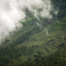 Quadro Hiking Through Greens Clouds - Obrah | Quadros e Posters para Transformar a Parede