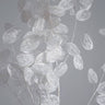 Quadro Honesty a Branch of Dried Flowers - Obrah | Quadros e Posters para Transformar a Parede