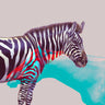 Quadro Horse and Zebra - Obrah | Quadros e Posters para Transformar a Parede