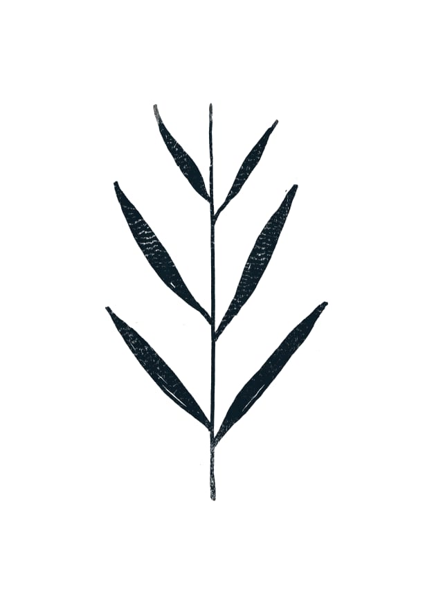 Quadro Inkpen Fern Leaves