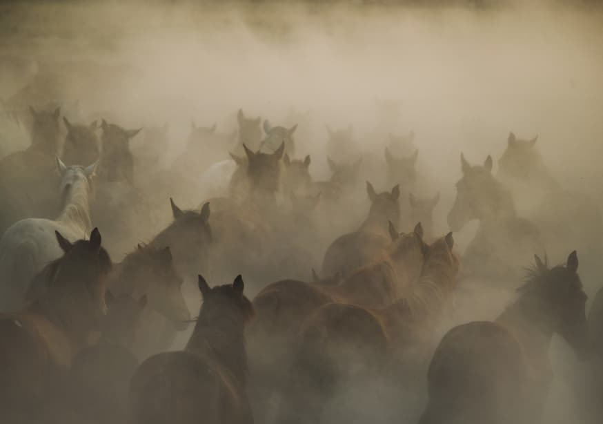 Quadro In Dust by Huseyin Taşkin - Obrah | Quadros e Posters para Transformar a Parede