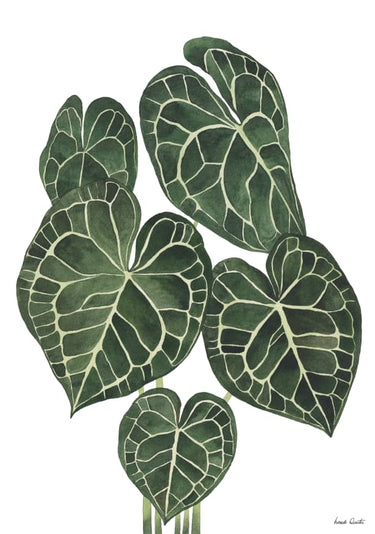 Quadro Anthurium Clarinervium - Obrah | Quadros e Posters para Transformar a Parede