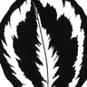 Quadro Calathea Medallion Peb - Obrah | Quadros e Posters para Transformar a Parede