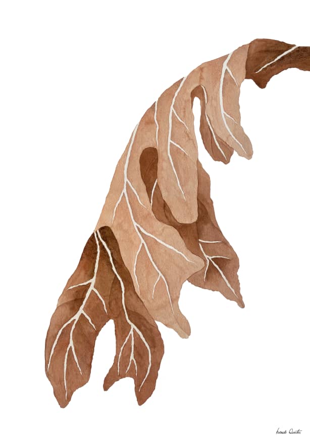 Quadro Dried Leaf 1 - Obrah | Quadros e Posters para Transformar a Parede