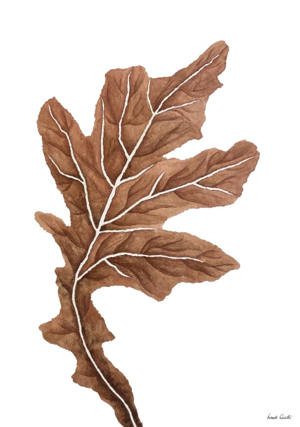 Quadro Dried Leaf 2 - Obrah | Quadros e Posters para Transformar a Parede