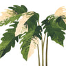 Quadro Philodendron Caramel Marble - Obrah | Quadros e Posters para Transformar a Parede