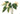 Quadro Philodendron Caramel Marble - Obrah | Quadros e Posters para Transformar a Parede
