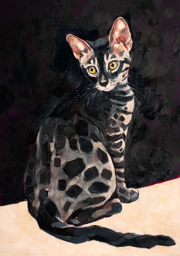 Quadro Bengal Midnight Cat