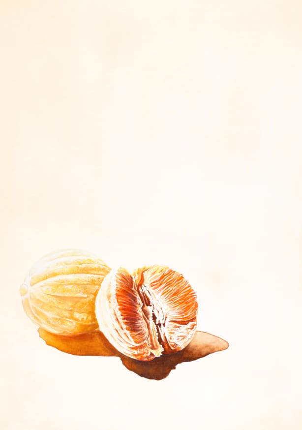 Quadro Mandarins