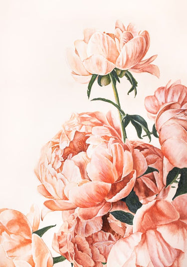 Quadro Peonies (1)