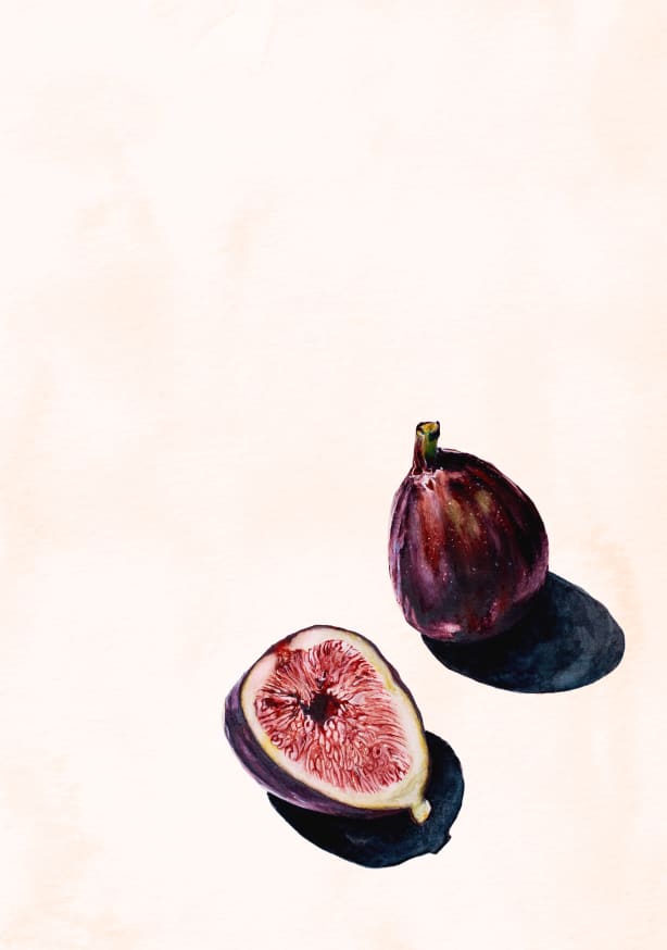 Quadro Figs