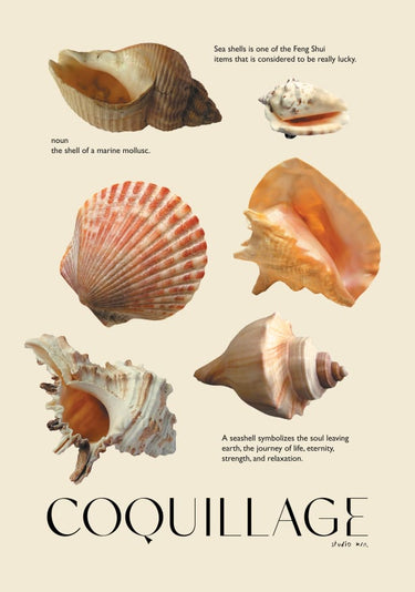 Quadro Seashell