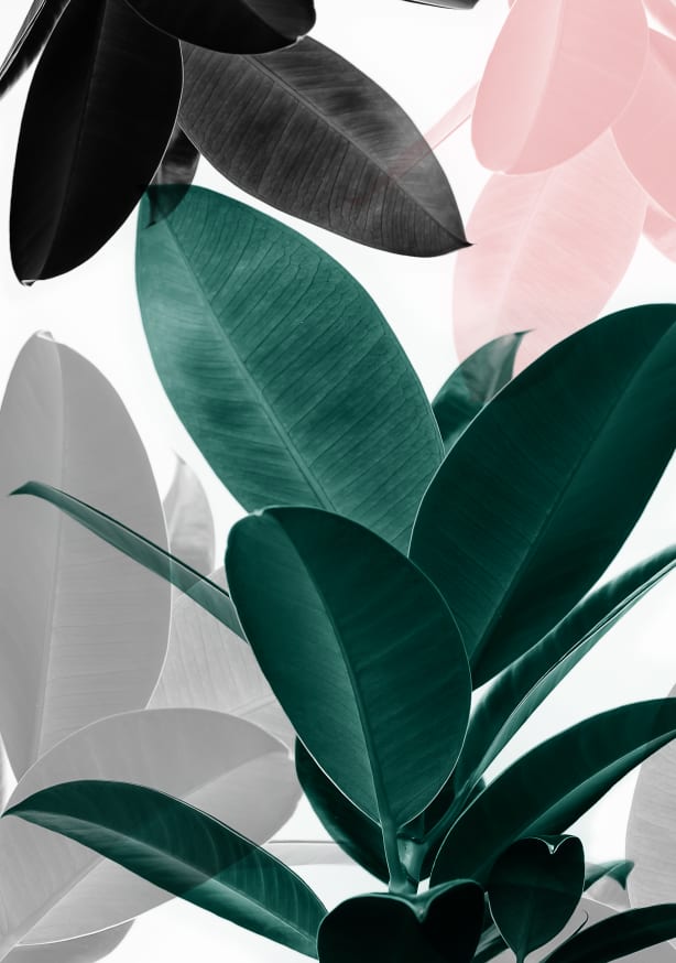 Quadro Leaf Play - Obrah | Quadros e Posters para Transformar a Parede