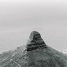 Quadro Lions Head - Obrah | Quadros e Posters para Transformar a Parede