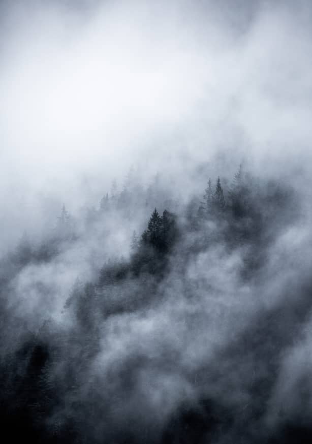 Quadro Foggy Morning 3