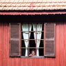 Quadro Mekdi in the Window Frame By Gloria Salgado Gispert - Obrah | Quadros e Posters para Transformar a Parede