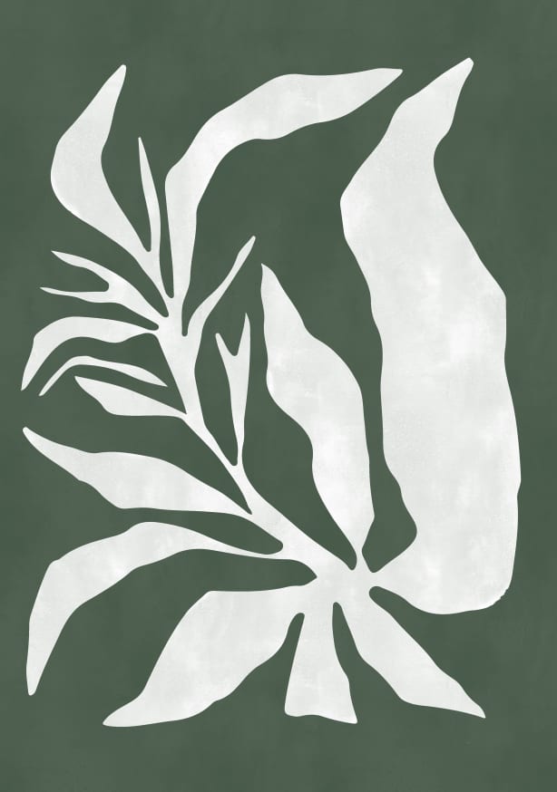 Quadro Mid Century Botanical 03 - Obrah | Quadros e Posters para Transformar a Parede