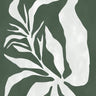 Quadro Mid Century Botanical 03 - Obrah | Quadros e Posters para Transformar a Parede
