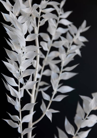 Quadro Minimal Black White Branch - Obrah | Quadros e Posters para Transformar a Parede