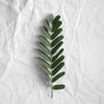 Quadro Minimal Forest Love - Obrah | Quadros e Posters para Transformar a Parede