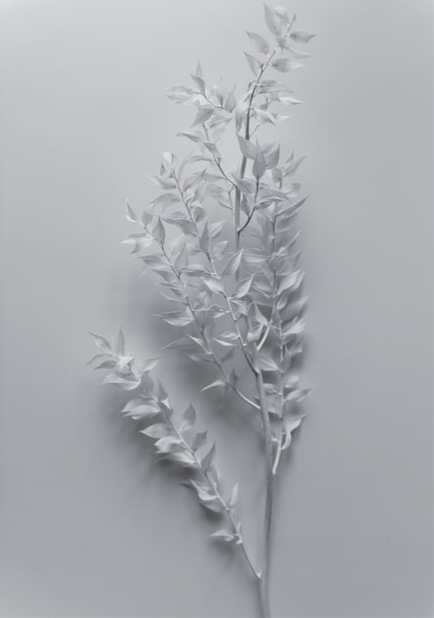 Quadro Mininal White Branch - Obrah | Quadros e Posters para Transformar a Parede