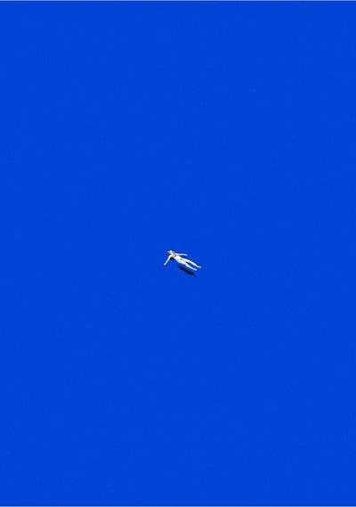 Imagem padrão da coleção Surrealismo