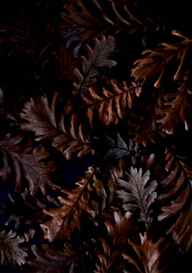 Quadro Moody Autumn Leafs - Obrah | Quadros e Posters para Transformar a Parede