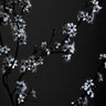 Quadro Moody Flower Beauty - Obrah | Quadros e Posters para Transformar a Parede