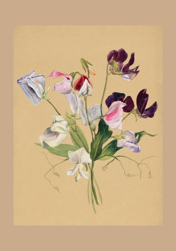 Quadro Flower Study - Obrah | Quadros e Posters para Transformar a Parede